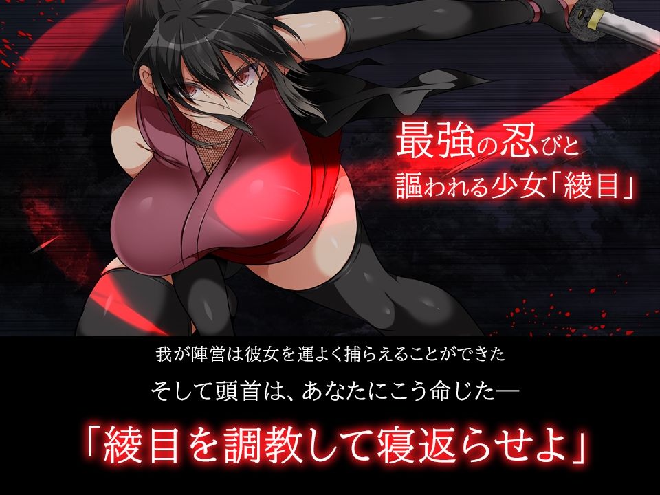 忍堕とし【動画&コミックCG集版】 画像8