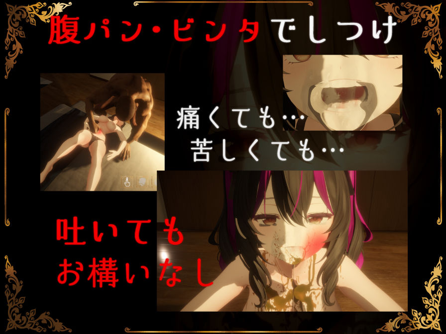 IRRUMATIO ULTRA 画像3